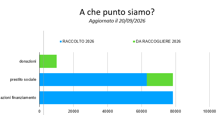 Grafica della raccolta fondi